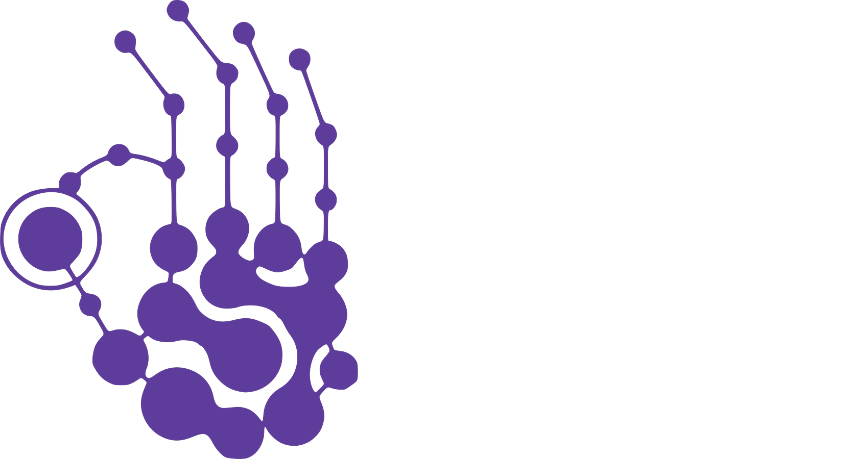 Biz Second Brain